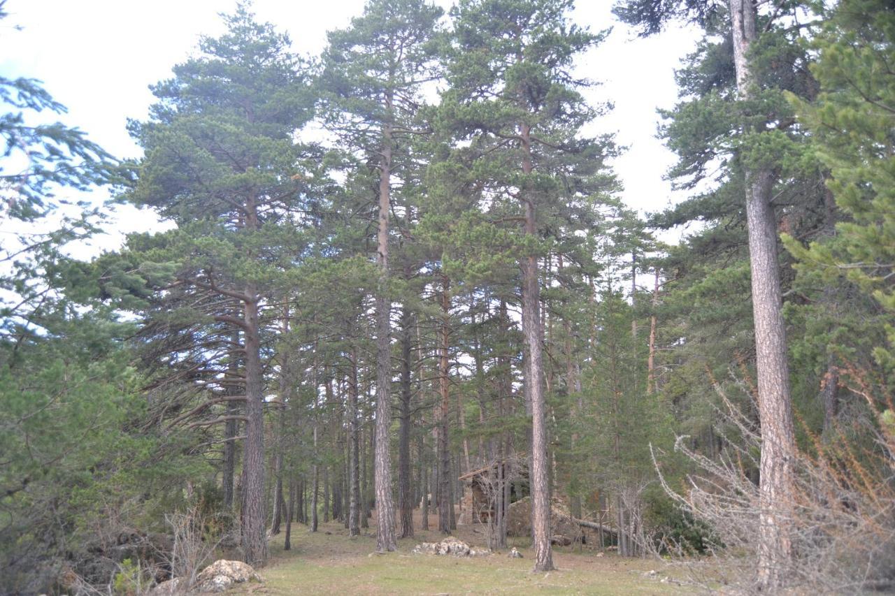 Apartament Sierra De Gúdar Zewnętrze zdjęcie