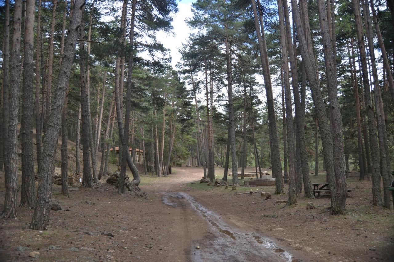 Apartament Sierra De Gúdar Zewnętrze zdjęcie